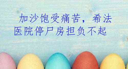  加沙饱受痛苦，希法医院停尸房担负不起