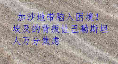 加沙地带陷入困境！埃及的背叛让巴勒斯坦人万分焦虑