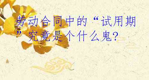 劳动合同中的“试用期”究竟是个什么鬼?