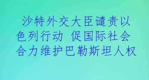  沙特外交大臣谴责以色列行动 促国际社会合力维护巴勒斯坦人权