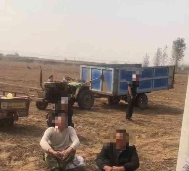 禁止群众机械收花生引发热议，后续已解禁