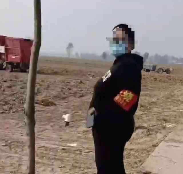 禁止群众机械收花生引发热议，后续已解禁