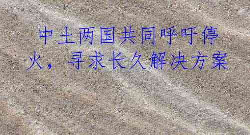  中土两国共同呼吁停火，寻求长久解决方案