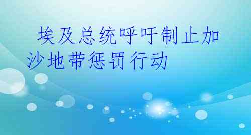  埃及总统呼吁制止加沙地带惩罚行动