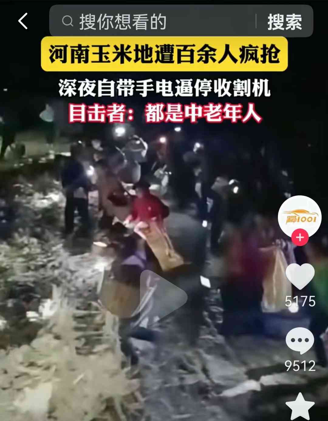  玉米地遭百人疯抢！警察忙得晕头转向？