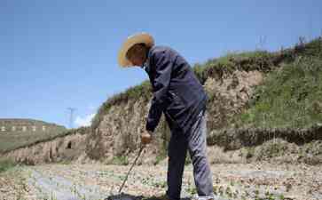  乡村就业问题：引领新时代农村治理现代化