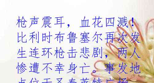 枪声震耳，血花四溅！比利时布鲁塞尔再次发生连环枪击悲剧，两人惨遭不幸身亡。事发地点位于圣泰莱特广场，死亡的两位不幸者是否