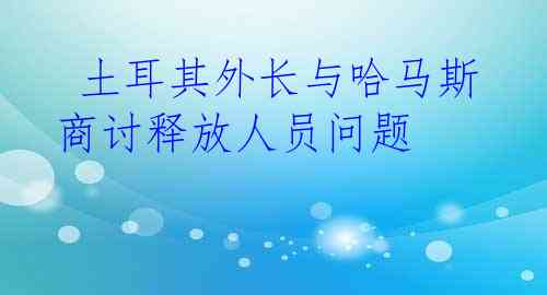  土耳其外长与哈马斯商讨释放人员问题
