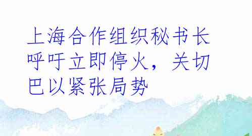上海合作组织秘书长呼吁立即停火，关切巴以紧张局势