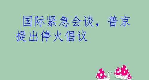  国际紧急会谈，普京提出停火倡议