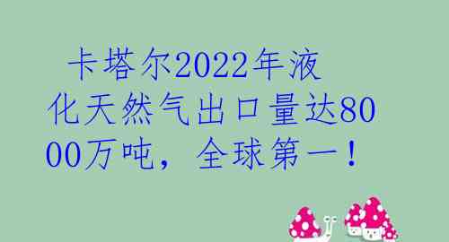  卡塔尔2022年液化天然气出口量达8000万吨，全球第一！