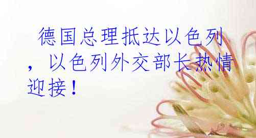  德国总理抵达以色列，以色列外交部长热情迎接！