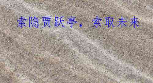 索隐贾跃亭，索取未来