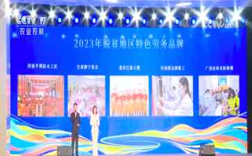 国务委员谌贻琴调研就业工作，助推脱贫攻坚与乡村振兴