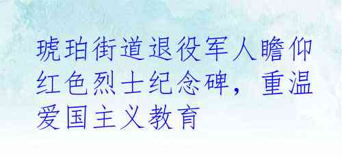 琥珀街道退役军人瞻仰红色烈士纪念碑，重温爱国主义教育