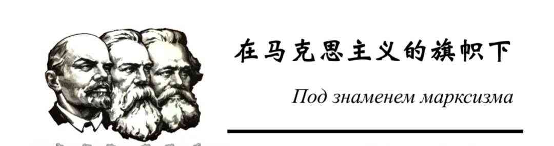  著名马克思主义经济学家布兹加林因中风逝世