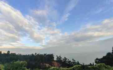  穷迷崽出门变缅植民者？姐姐呼叹弟弟遭苍蝇陷阱！