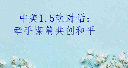  中美1.5轨对话：牵手谋篇共创和平