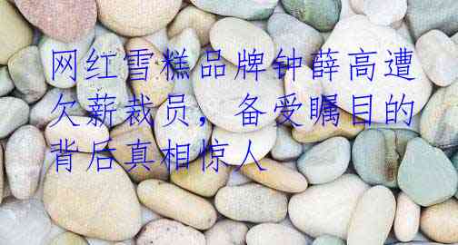 网红雪糕品牌钟薛高遭欠薪裁员，备受瞩目的背后真相惊人