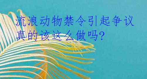  流浪动物禁令引起争议 真的该这么做吗?