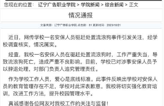 安保人员不当行为致流浪狗死亡，辽宁广告职业学院追求爱心底线