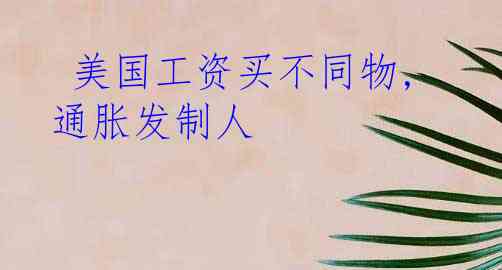  美国工资买不同物,通胀发制人