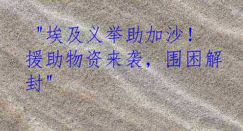  "埃及义举助加沙！援助物资来袭，围困解封"