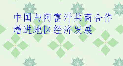 中国与阿富汗共商合作 增进地区经济发展