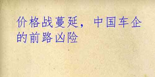 价格战蔓延，中国车企的前路凶险