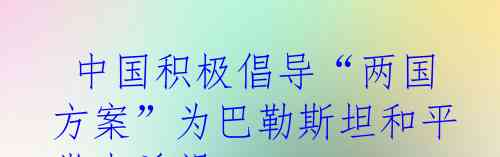  中国积极倡导“两国方案”为巴勒斯坦和平带来希望