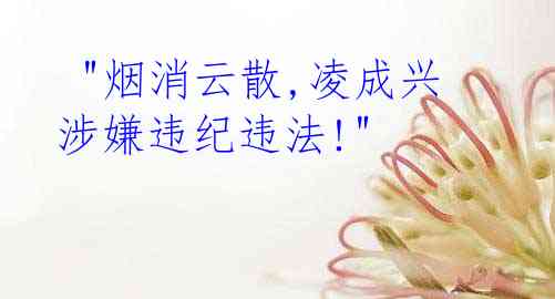  "烟消云散,凌成兴涉嫌违纪违法!"