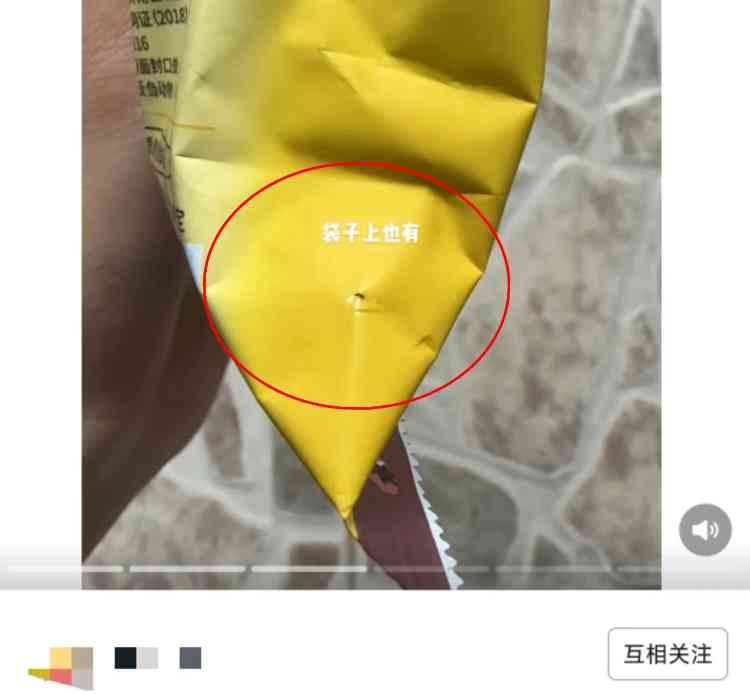 网购宠物粮引发恐慌，真相如何？