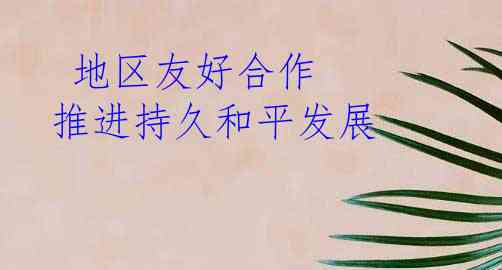  地区友好合作 推进持久和平发展