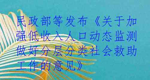 民政部等发布《关于加强低收入人口动态监测做好分层分类社会救助工作的意见》
