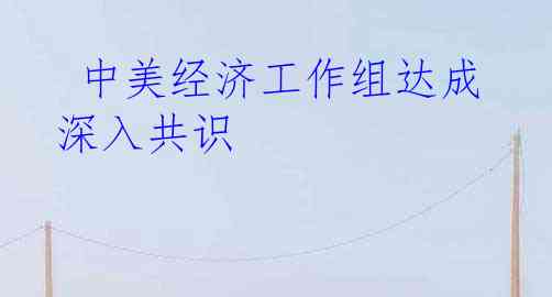  中美经济工作组达成深入共识