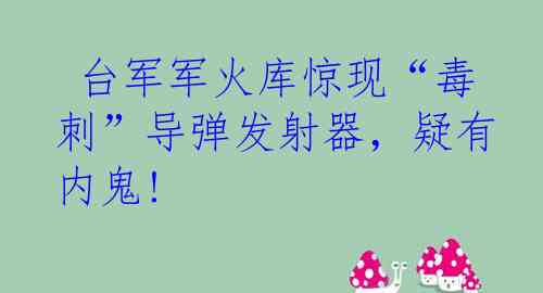  台军军火库惊现“毒刺”导弹发射器，疑有内鬼!
