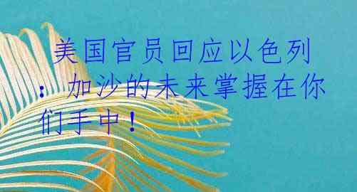  美国官员回应以色列：加沙的未来掌握在你们手中！