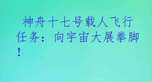  神舟十七号载人飞行任务：向宇宙大展拳脚！