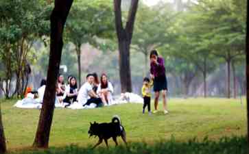  恶犬横行！女孩被咬成血人，母亲泪哭凄惨