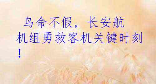  鸟命不假, 长安航机组勇救客机关键时刻！