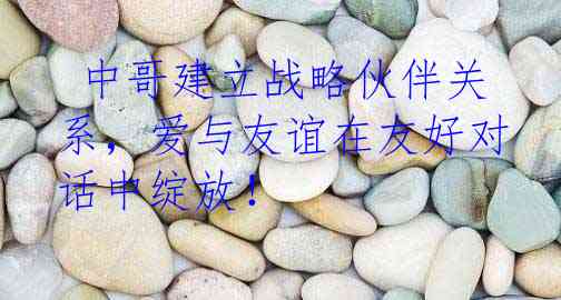  中哥建立战略伙伴关系，爱与友谊在友好对话中绽放！