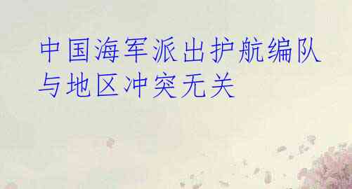  中国海军派出护航编队 与地区冲突无关