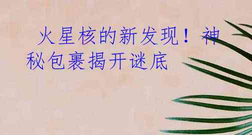  火星核的新发现！神秘包裹揭开谜底