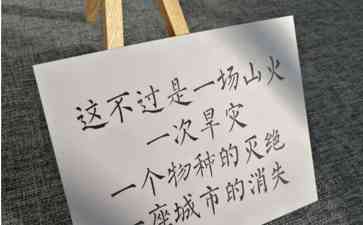 合资品牌在中国车市遭遇不测