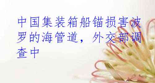 中国集装箱船锚损害波罗的海管道，外交部调查中
