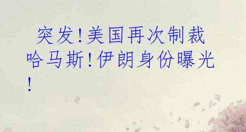  突发!美国再次制裁哈马斯!伊朗身份曝光!