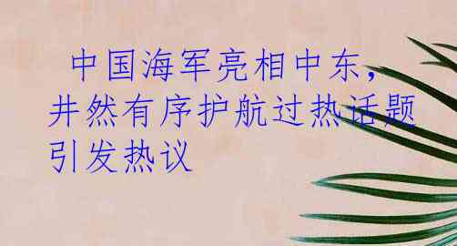  中国海军亮相中东，井然有序护航过热话题引发热议