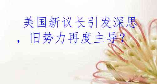  美国新议长引发深思，旧势力再度主导？