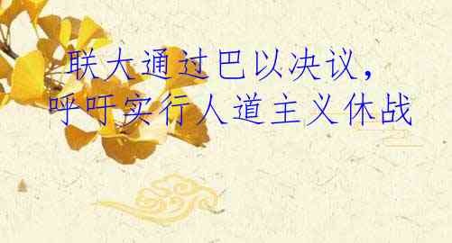  联大通过巴以决议，呼吁实行人道主义休战