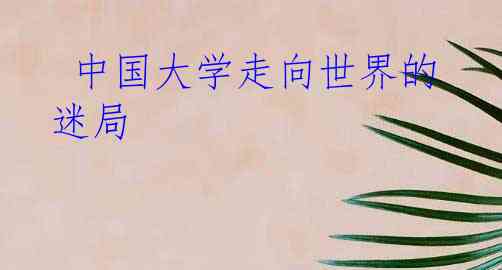  中国大学走向世界的迷局